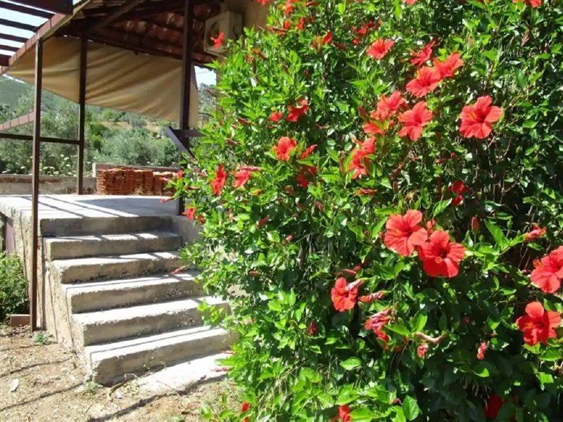Countryside House Guest House Perachora Bagian luar foto