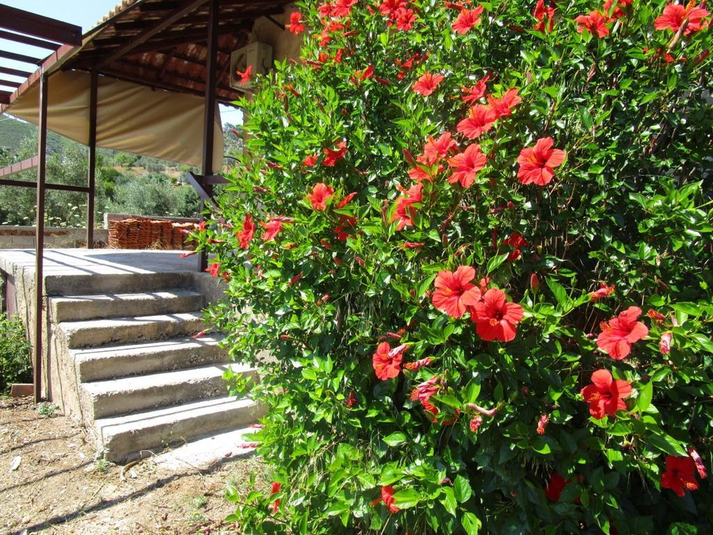Countryside House Guest House Perachora Bagian luar foto